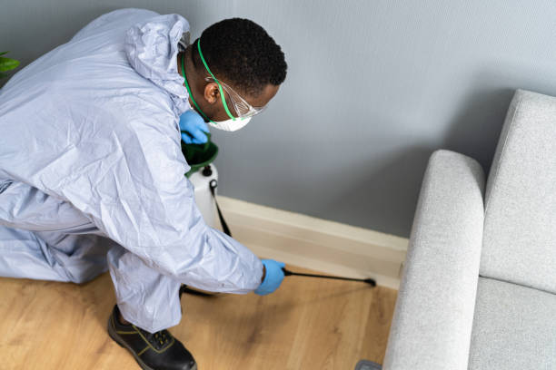 Best Pest Prevention Services  in Fountainhead Orchard Hills, MD